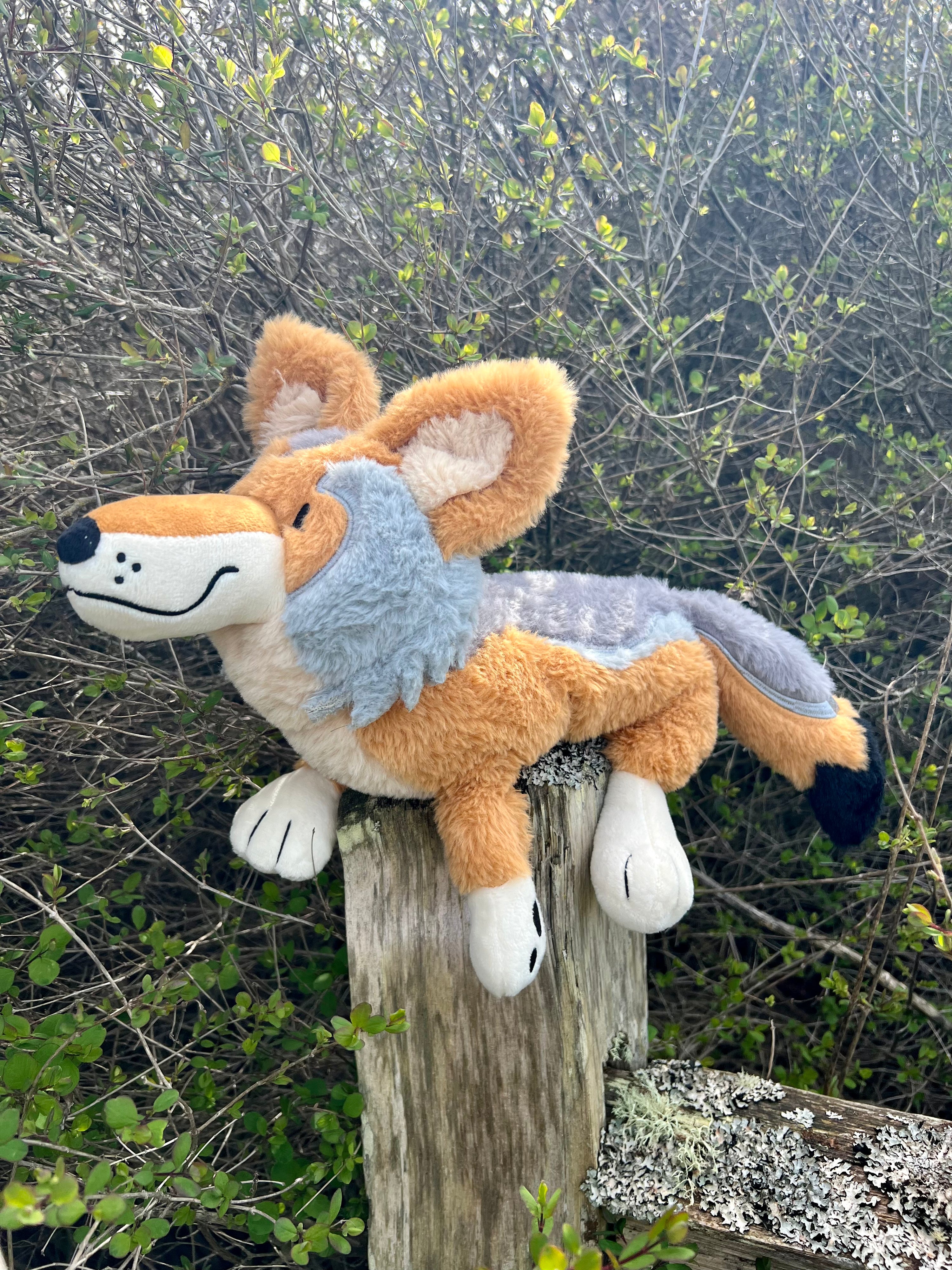 Weighted Coyote