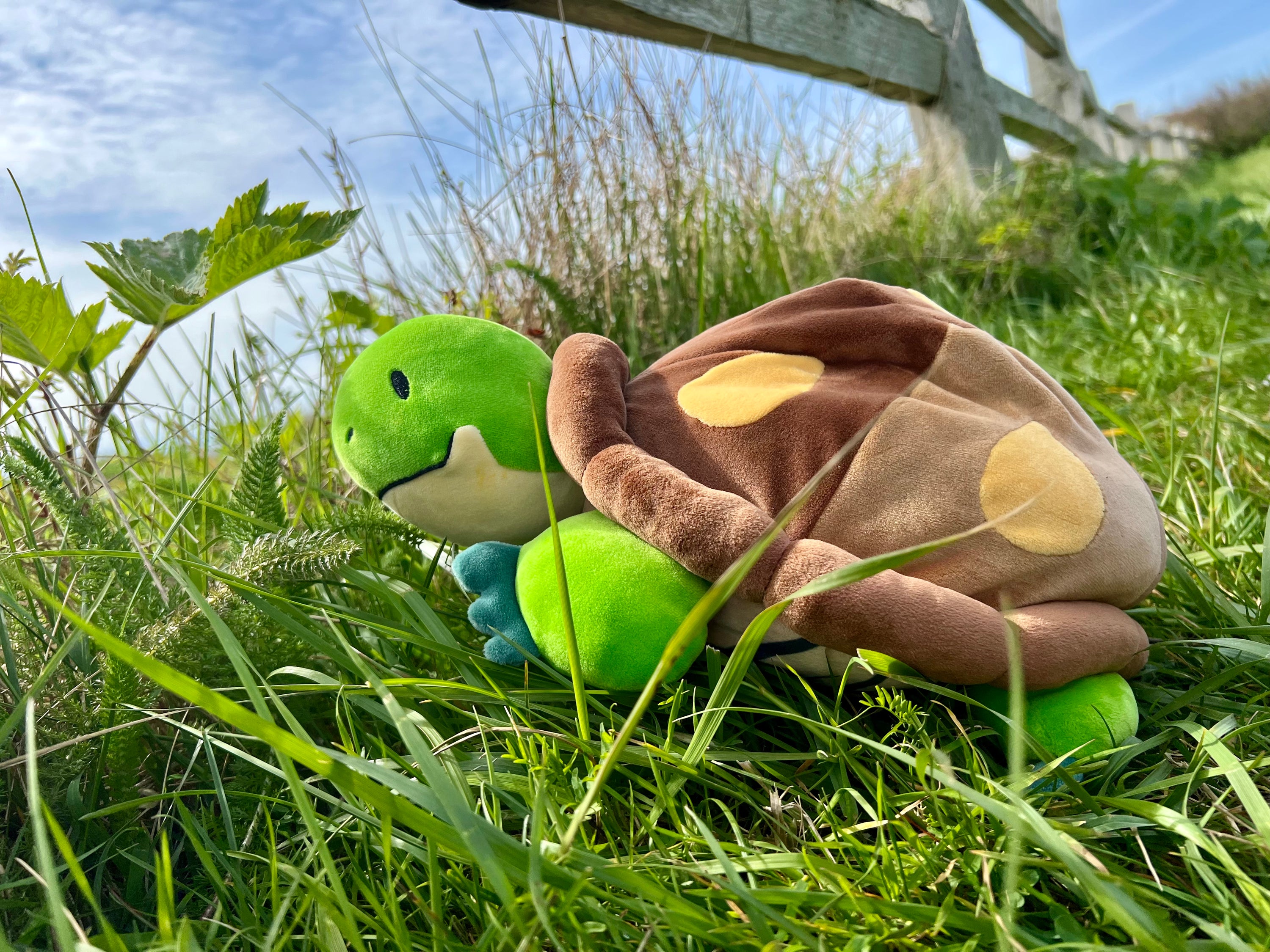 Weighted Turtle