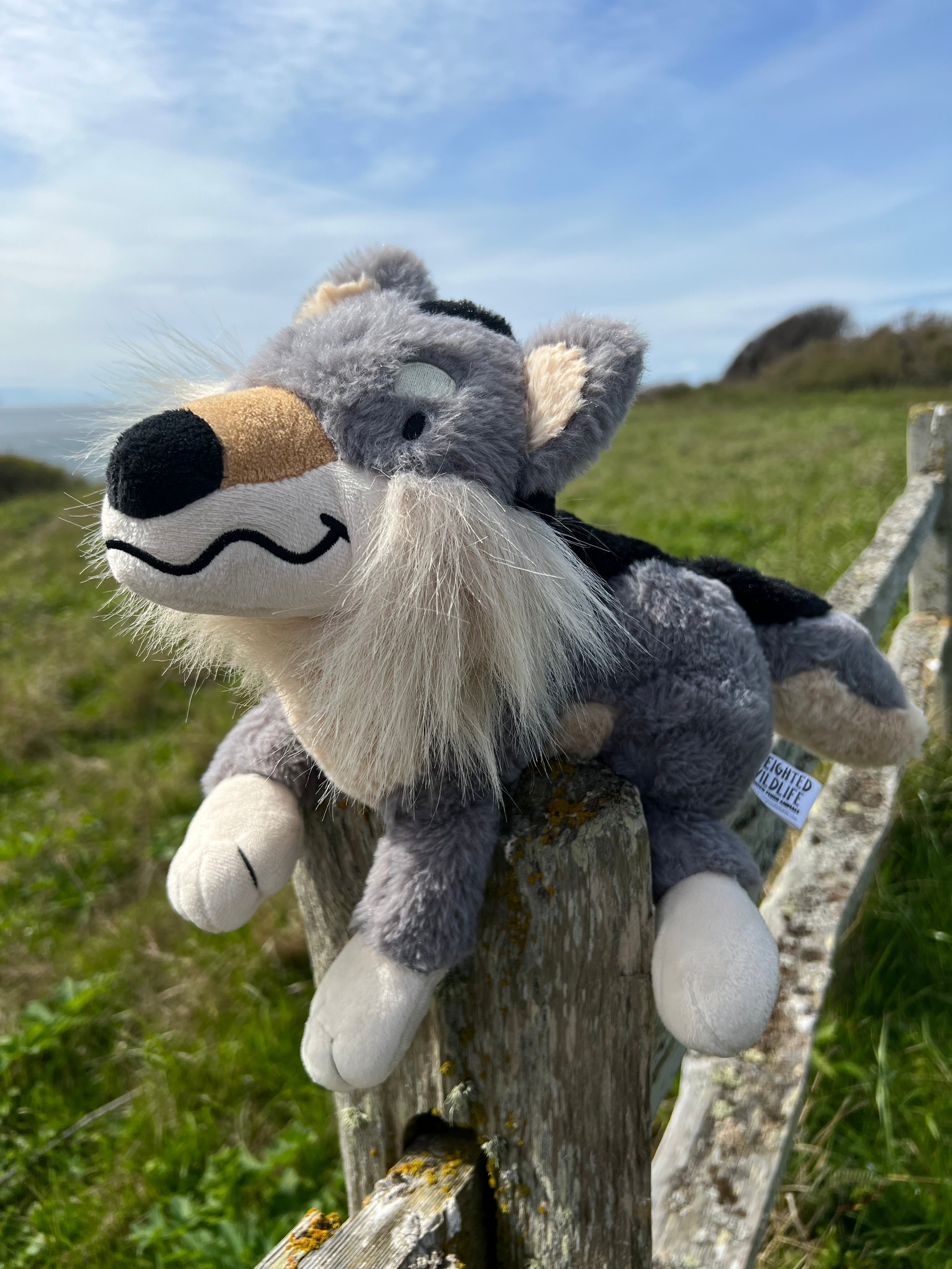 Weighted Grey Wolf