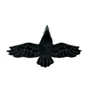 Weighted Raven