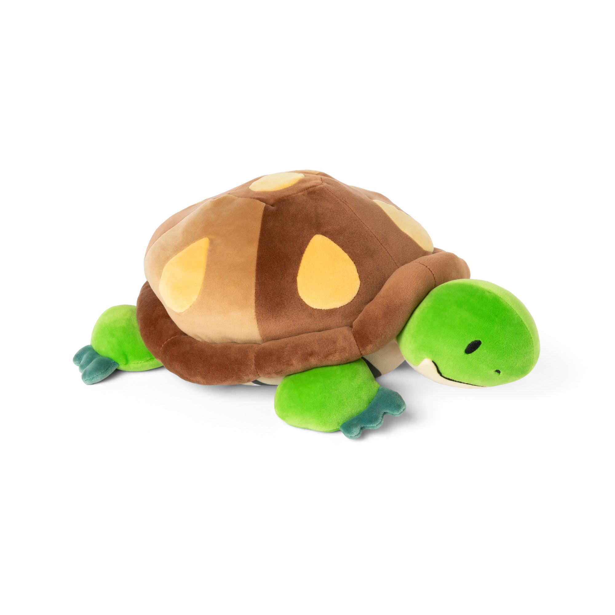 Weighted Turtle