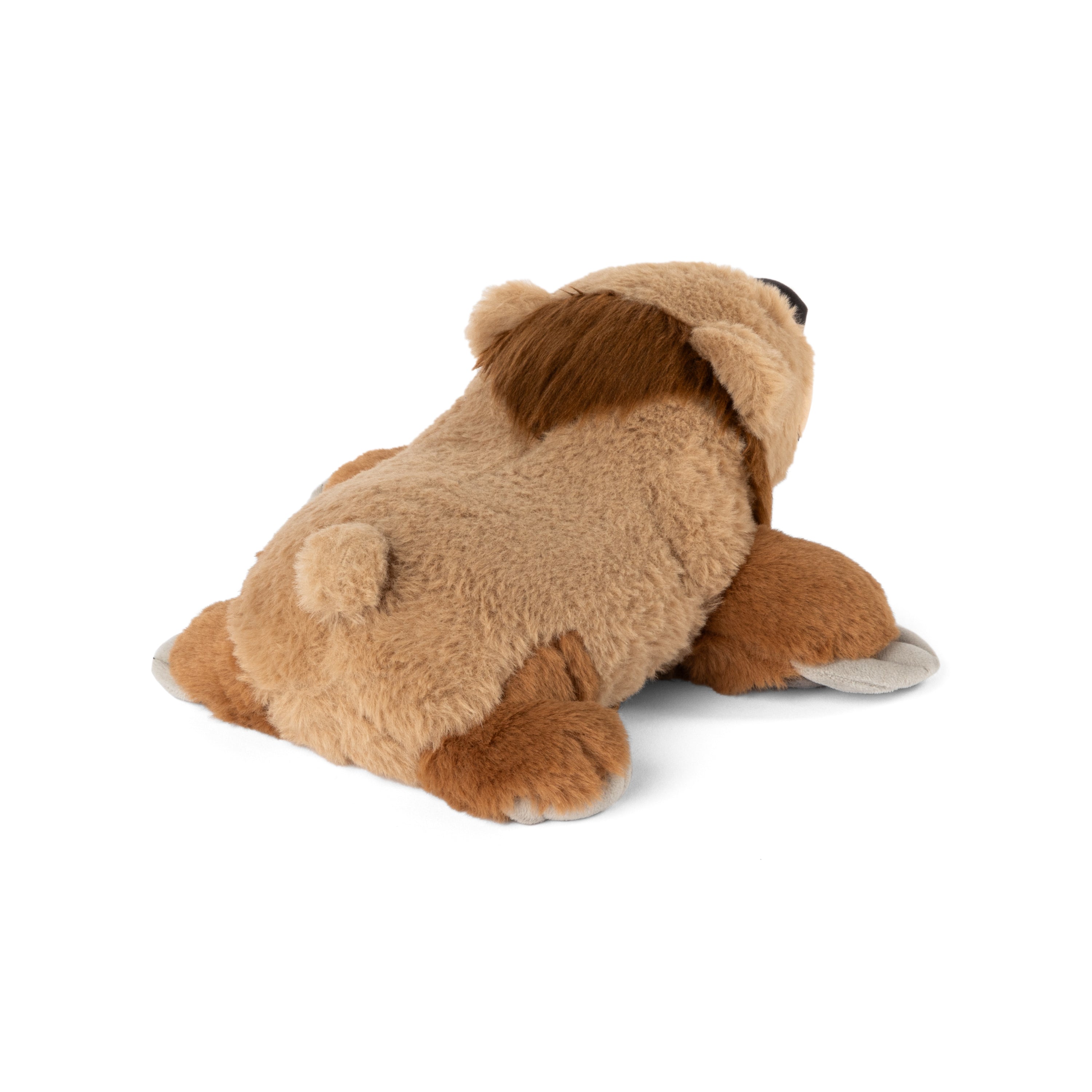 Weighted Grizzly Bear