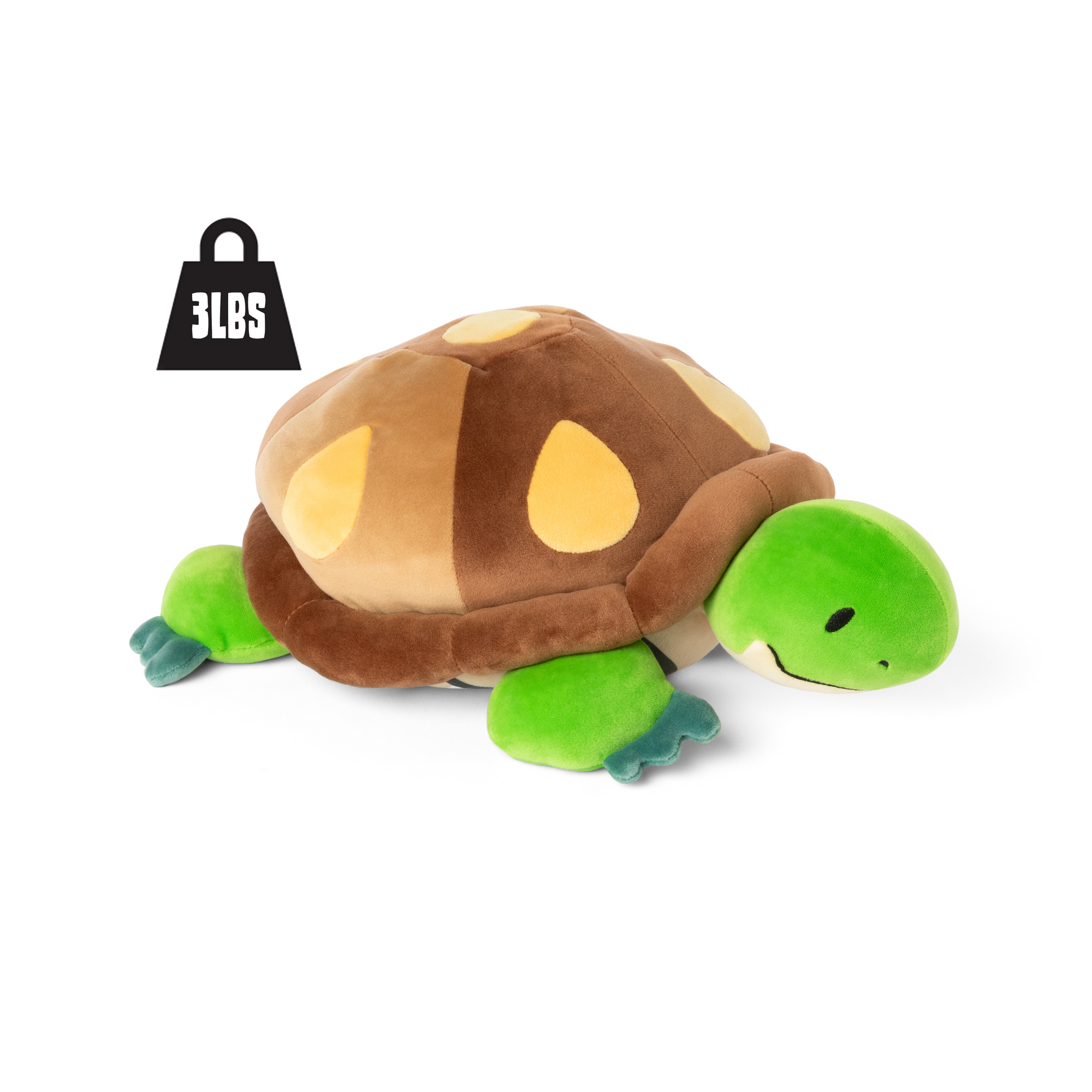 Weighted Turtle