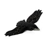 Weighted Raven