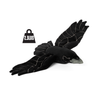 Weighted Raven